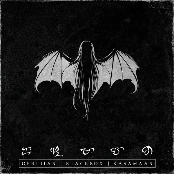 Blackbox: Kasamaan