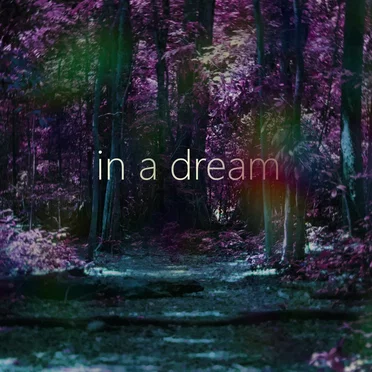 in a dream