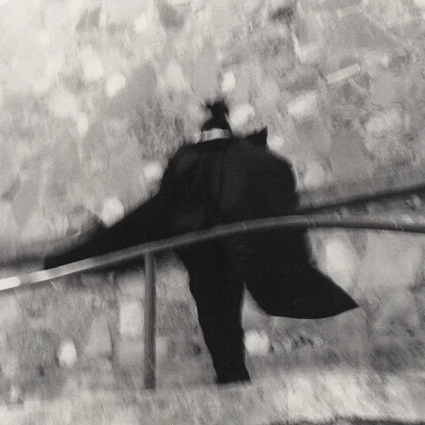 LIMBO (sped up version)