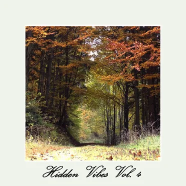 Hidden Vibes Vol. 4 by Various Artists - album cover