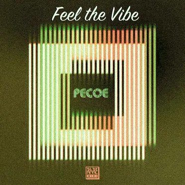Feel the Vibe by Pecoe - album cover