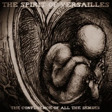 The Confluence of All the Senses by The Spirit of Versailles - album cover