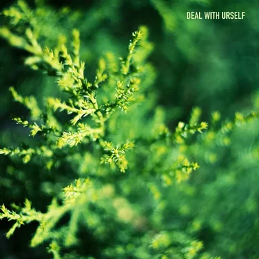 Deal with Urself by Afluen - album cover