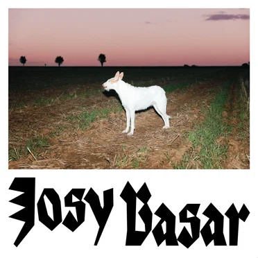 Le Chien by Josy Basar - album cover