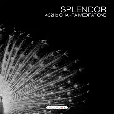 Splendor