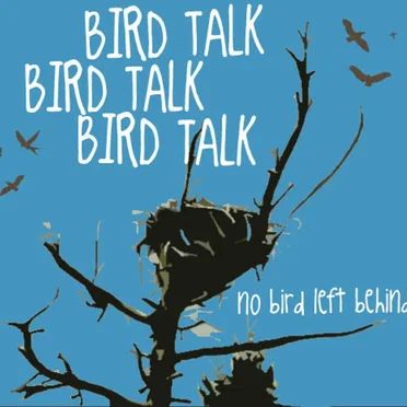 No Bird Left Behind by Bird Talk - album cover