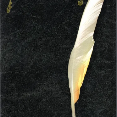 The Enchanted Works of Stevie Nicks