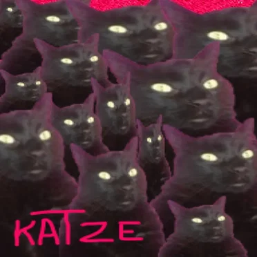 NouMinouMinet by Katze - album cover