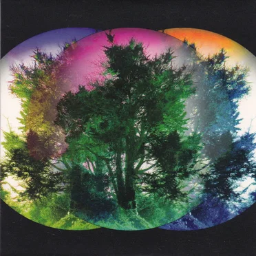 The Imitation Garden by Electric Shepherd - album cover