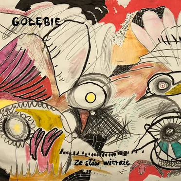 Ze słów witraże by Gołębie - album cover