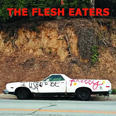 I Used to Be Pretty by The Flesh Eaters - album cover