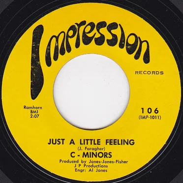 Just A Little Feelin' / Don't Go