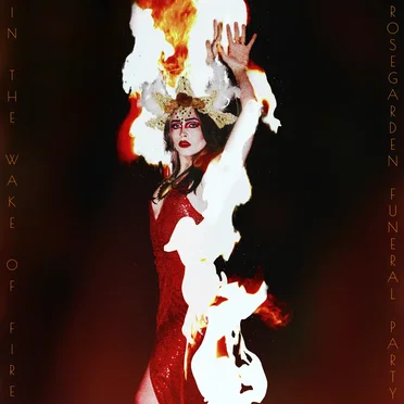 IN THE WAKE OF FIRE