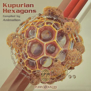 Kupurian Hexagons by Various Artists - album cover
