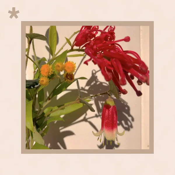 flower*market