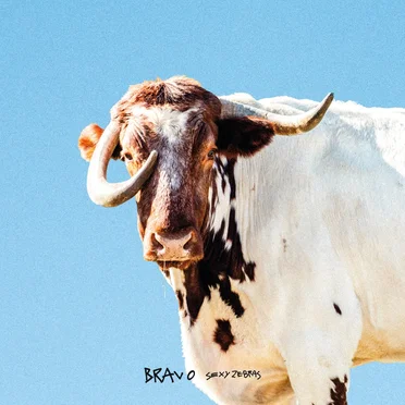 Bravo by Sexy Zebras - album cover