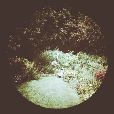 Through the Night