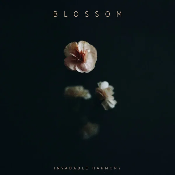 Blossom