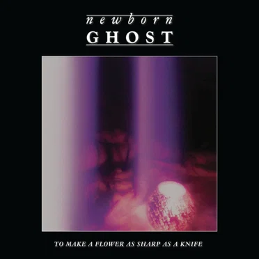 To Make a Flower as Sharp as a Knife by Newborn Ghost - album cover