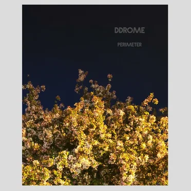 Perimeter by Ddrome - album cover