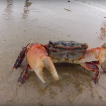 Manchester xx/xx/20 (improvised)