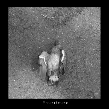 Pourriture by Oak - album cover