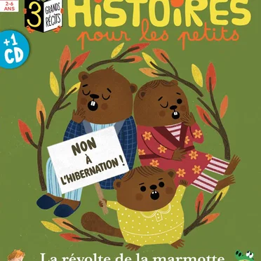 Histoires pour les petits : 3 histoires racontées aux petits (2021/11) by Various Artists - album cover