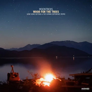 Wood for the Trees (Gone Gone Beyond & The Human Experience remix)