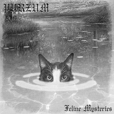 Feline Mysteries