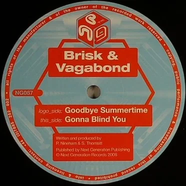 Goodbye Summertime / Gonna Blind You