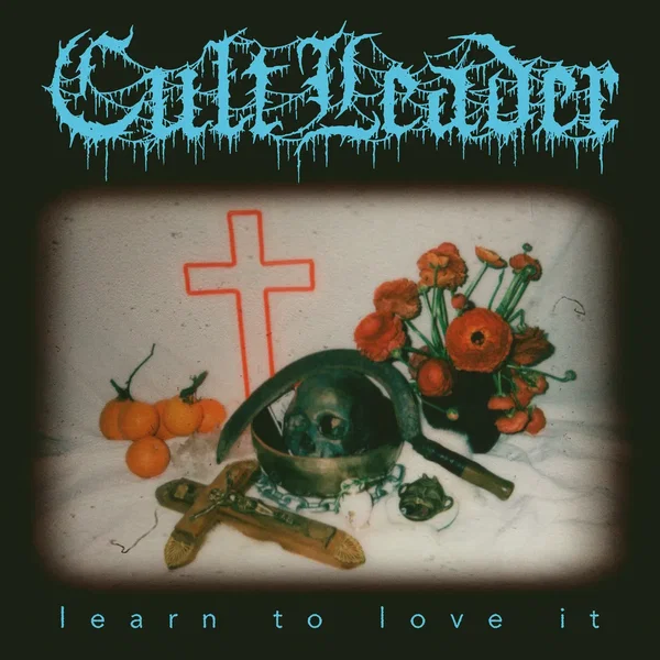 Learn to Love It