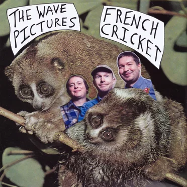 French Cricket by The Wave Pictures - album cover