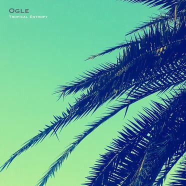 Tropical Entropy