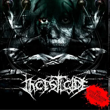 Aschaffenburg Sickness by Incesticide - album cover