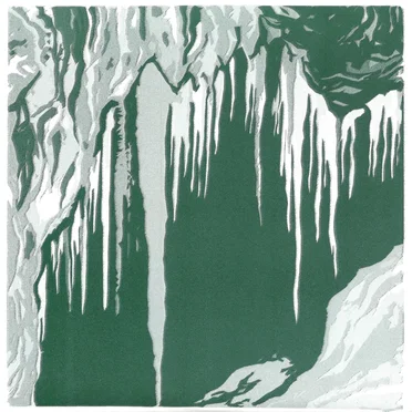 Creatures in the Cave / Wyld Parrots