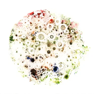 We Have Always Been Here by Galactic Unity Ensemble - album cover