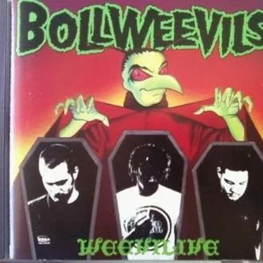 Weevilive