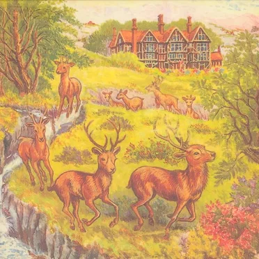 An introduction to suffering