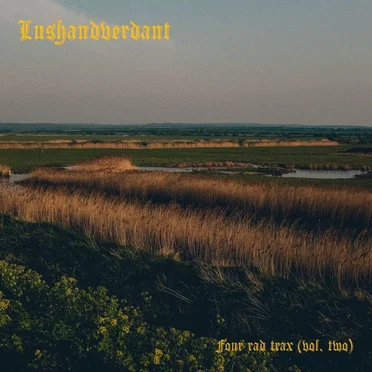 Four Rad Trax, Vol. 2 by Lushandverdant - album cover