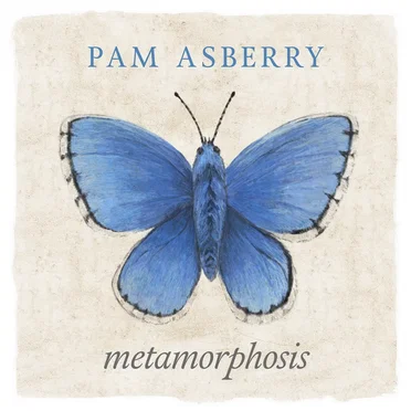Metamorphosis by Pam Asberry - album cover