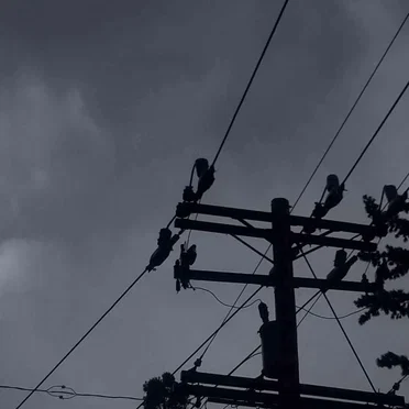 The Embodiment of Sin Showed Up At My Door-Step