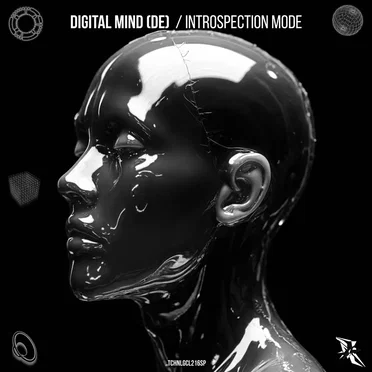 Introspection Mode by Digital Mind - album cover