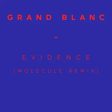Evidence (Molecule Remix)