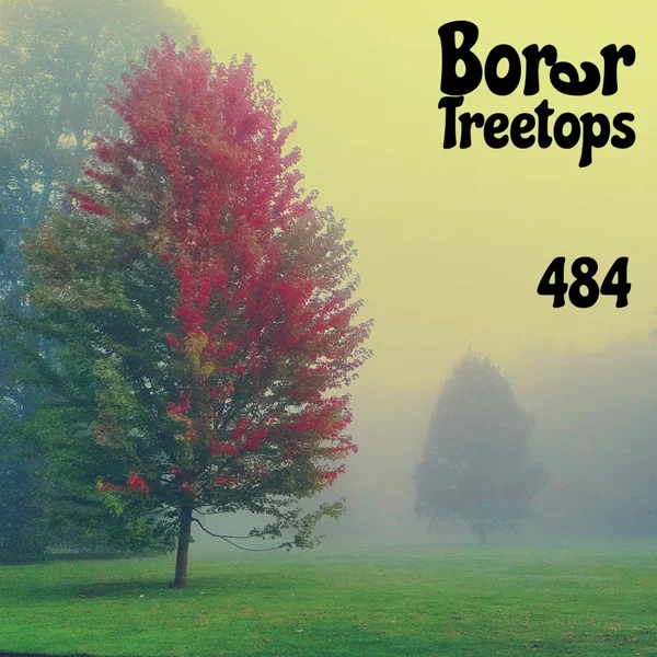 484