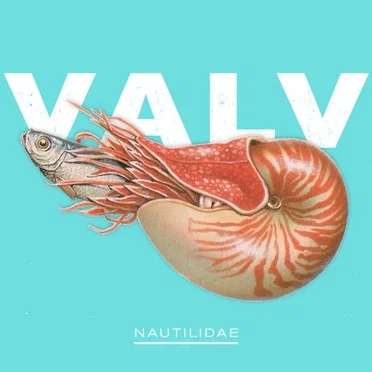 Nautilidae by Valv - album cover
