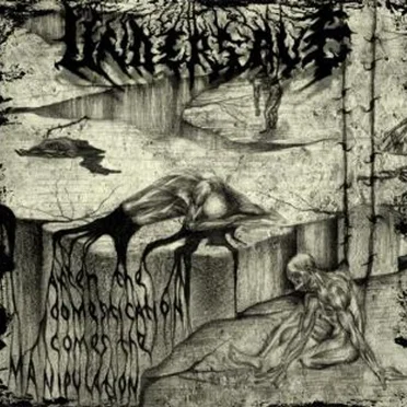 After the Domestication Comes the Manipulation by Undersave - album cover