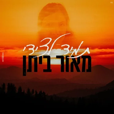 תמיד לצידי