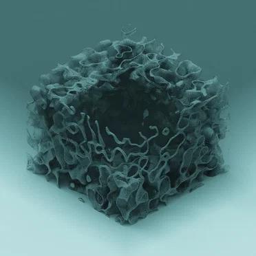 neurodiverging