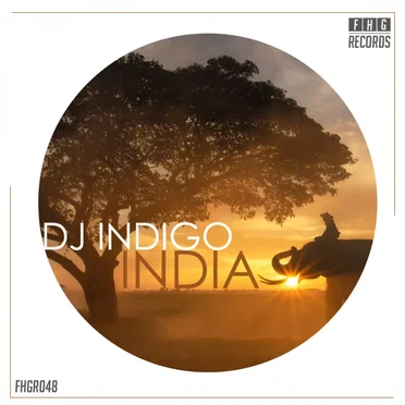 India by DJ Indigo - album cover