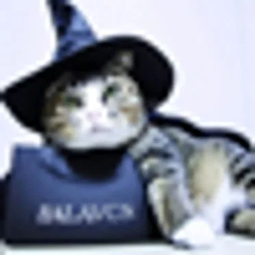 ▲witch cat▲